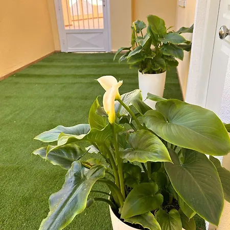 Appartement Flats Montiboli Sun Villajoyosa